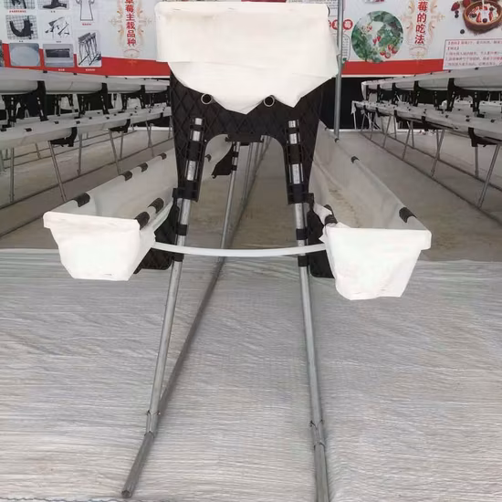 High Quality Prefabricated Quick Connection Vertical Frame for Greenhouse