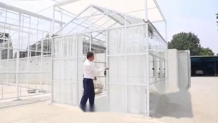 Agricultural Greenhouse Vegetable Extrusion 6000 Series Aluminum Alloy Frame 