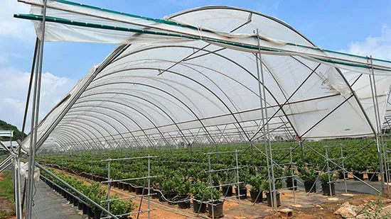 Durable Metal Frame for Agricultural Greenhouses with Wind Resistance 