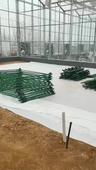 Different Styles of Float Culture Nft Flat and Vertical Culture a